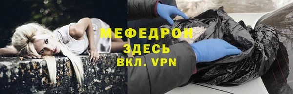 трава Корсаков