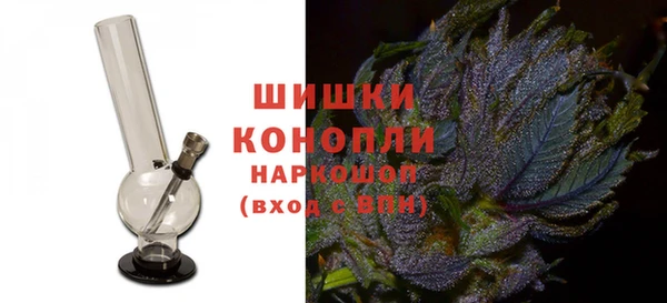 ГАЛЛЮЦИНОГЕННЫЕ ГРИБЫ Коряжма