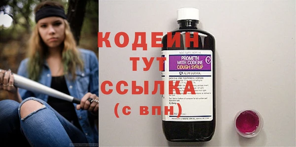 ГАЛЛЮЦИНОГЕННЫЕ ГРИБЫ Коряжма