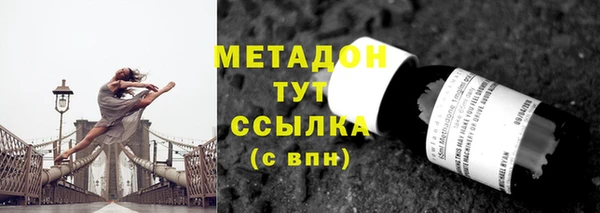 трава Корсаков