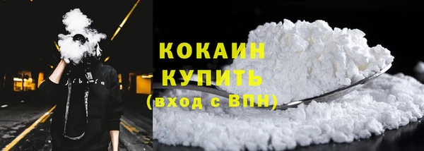 ГАЛЛЮЦИНОГЕННЫЕ ГРИБЫ Коряжма