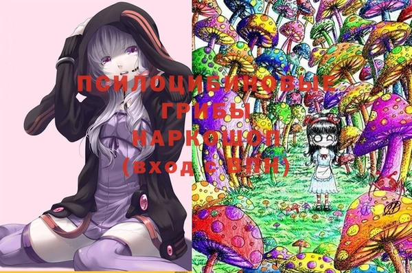трава Корсаков