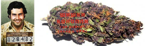 трава Корсаков