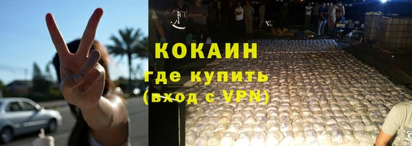 трава Корсаков