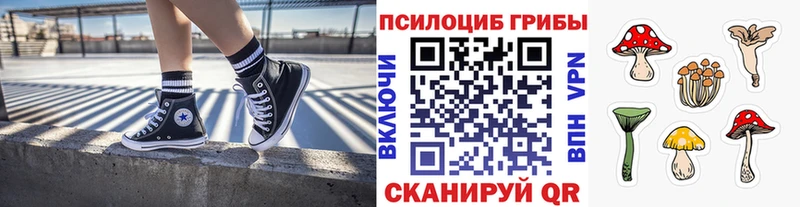 купить наркоту  гидра как войти  Псилоцибиновые грибы GOLDEN TEACHER  Бердск 